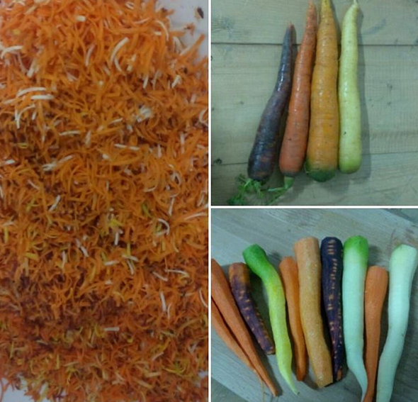 Algun cop hem utilitzat pastanagues de diferents colors per fer la Little Bastard Rabbit, foto del nostre Instagram @cervesesjk